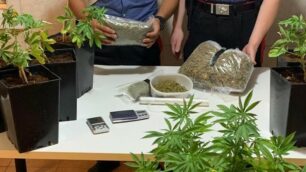 Bovisio Masciago sequestro cannabis, un arresto