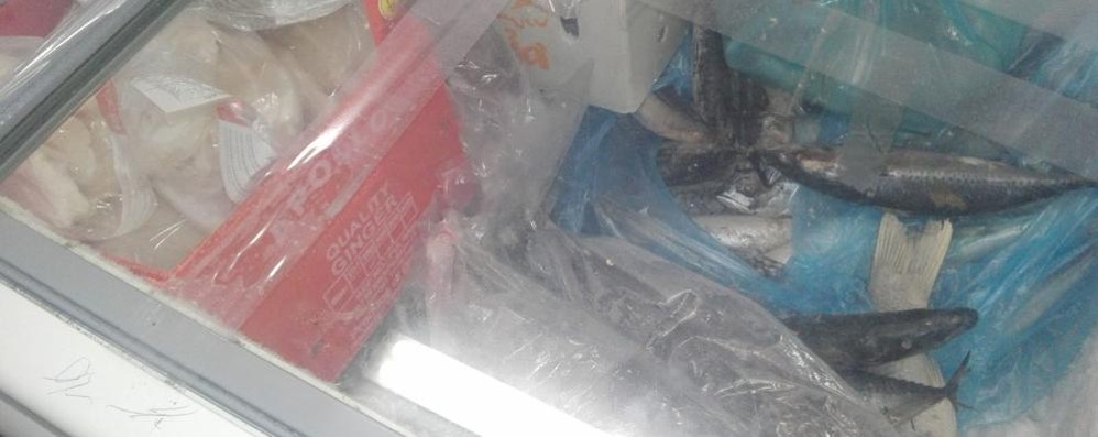 Il freezer del pesce sequestrato da Nas e polizia locale di Monza