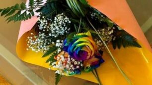 Il fiori del Pride per Allevi