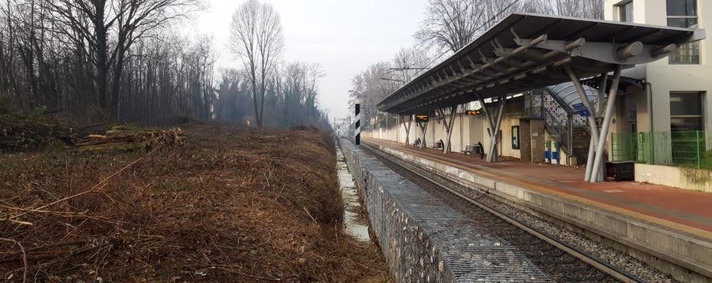 Cesano Maderno: disboscamento per rendere più sicura l’area della stazione Groane-Snia