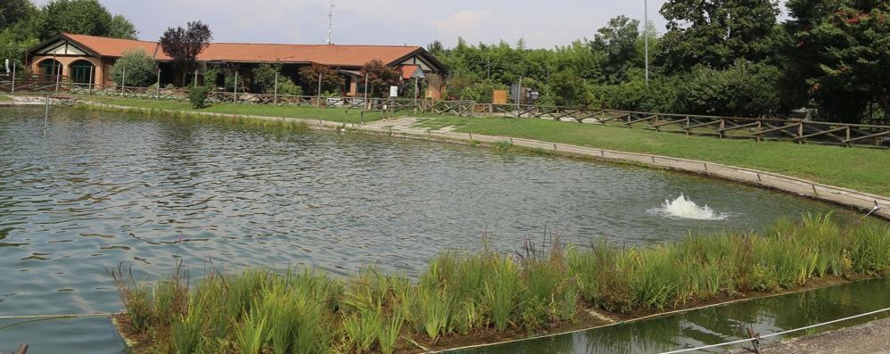 In primo piano, le isole galleggianti vegetate