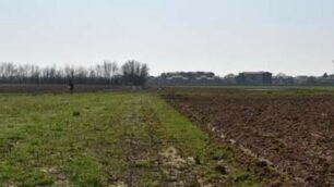 L’area agricola di Mezzago che è entrata nel territorio tutelato del Pane