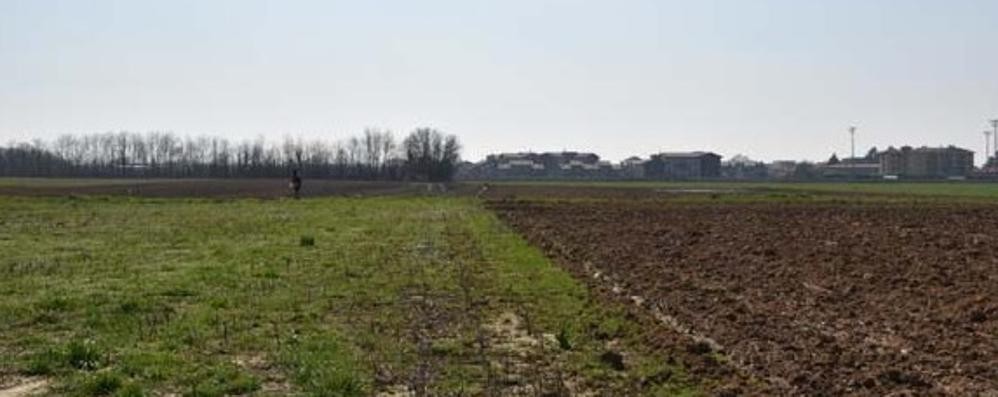 L’area agricola di Mezzago che è entrata nel territorio tutelato del Pane