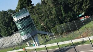 Gli alberi tagliati accanto alla torre dei media