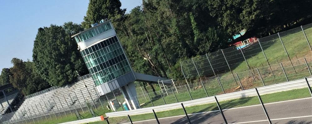 Gli alberi tagliati accanto alla torre dei media