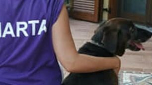 La maglia per Marta indossata durante le esequie