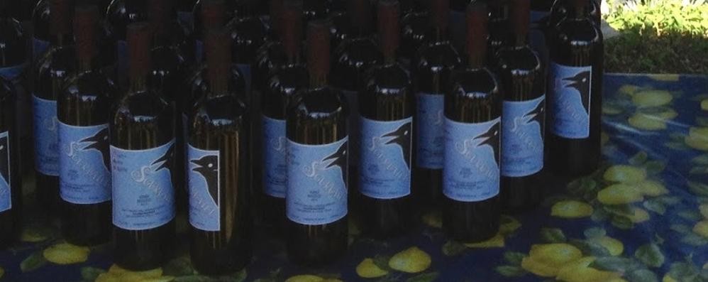 BIASSONO le bottiglie di  Sgurbatel, il vino della vigna comunale: annata pessima