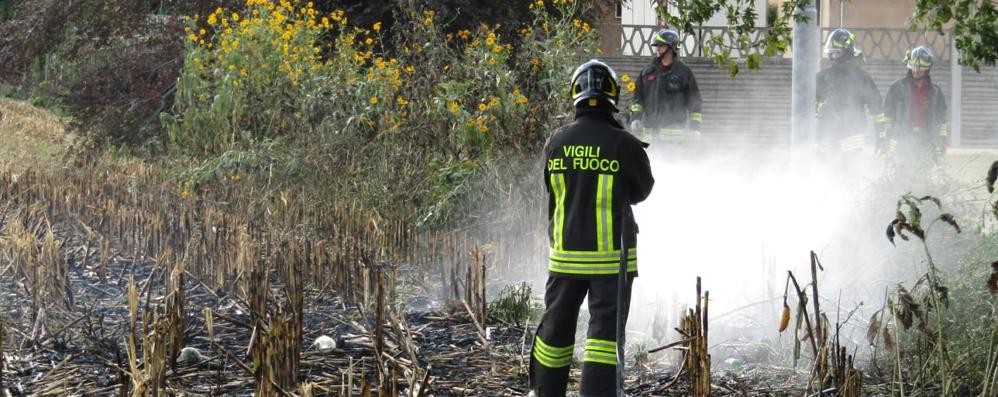 Macherio incendio campo