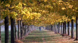 Monza Parco Autunno