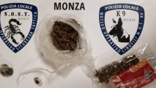 Monza polizia locale