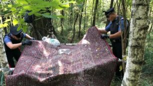 I carabinieri della Compagnia di Desio nel Parco delle Groane