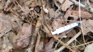 Una siringa nel parco delle Groane