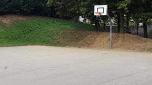 Agrate razzismo parco via Vismara