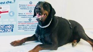 Brugherio: Athos, il primo iscritto nel registro donatori sangue