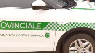 Polizia provinciale