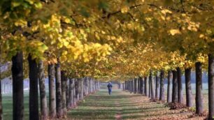 Monza Parco Autunno