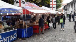 CESANO MERCATO EUROPEO APERTURA