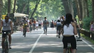 Viale Cavriga parco di Monza
