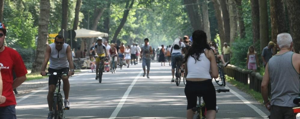 Viale Cavriga parco di Monza