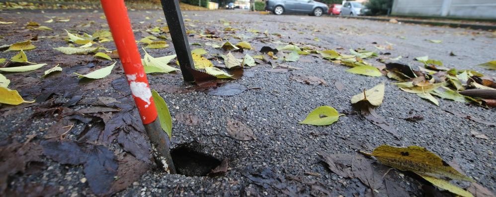 Monza: la buca piccola e profonda a San Fruttuoso