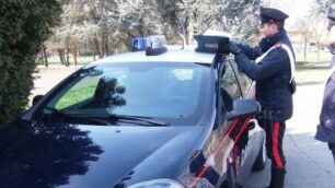 L’operazione è stata condotta dai carabinieri di Vibo Valentia e Seregno