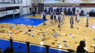 Basket Desio Lissone Teddy Bear Toss