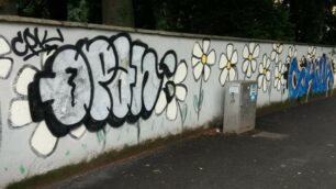 Monza graffiti su margherite pulizia di primavera: i writers rischiano 500 euro di multa