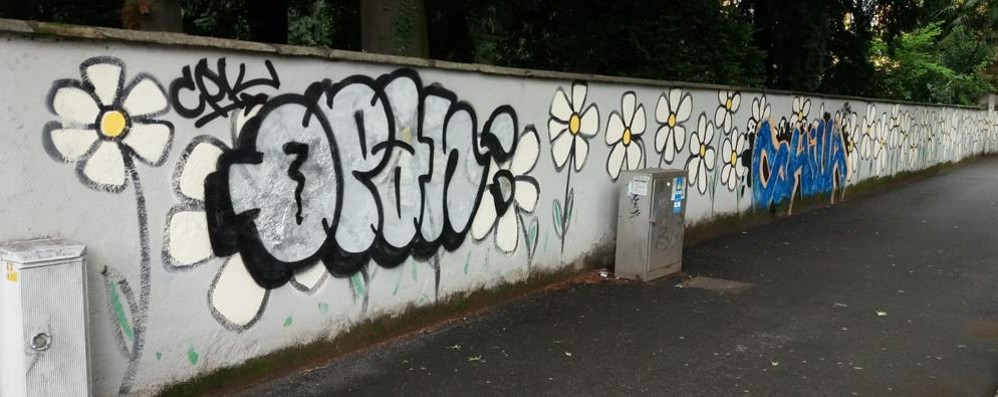 Monza graffiti su margherite pulizia di primavera: i writers rischiano 500 euro di multa