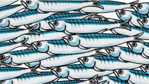 Movimento sardine