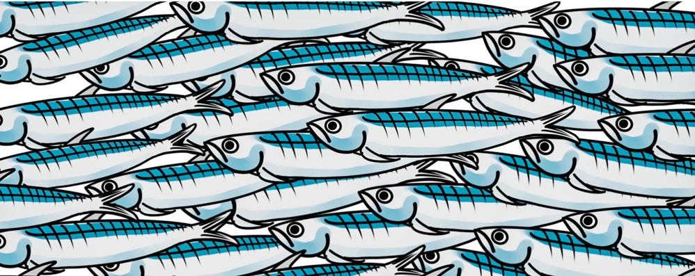 Movimento sardine