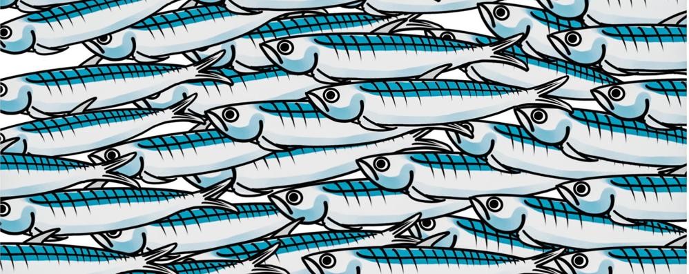 Movimento sardine