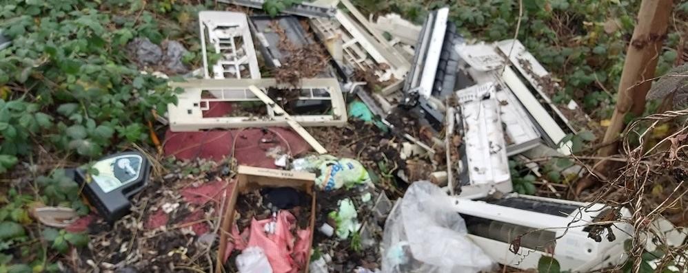 NOVA - FOTO TRAPPOLE rifiuti coperti da vegetazione in via degli Orti