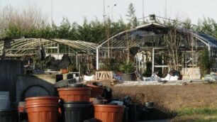 Carate Brianza incendio vivaio situazione domenica mattina