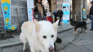 Feste, le foto delle Befane di Monza