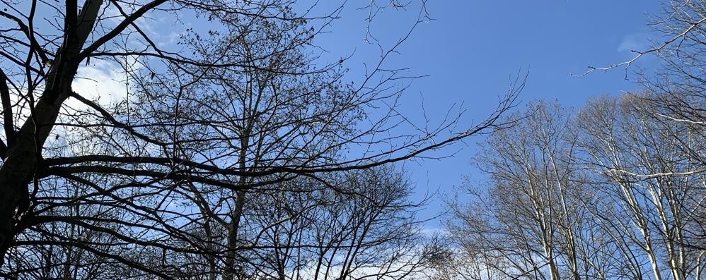 Meteo gennaio Monza