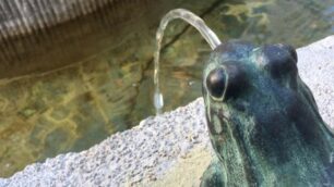 Una delle nuove rane della fontana di Monza