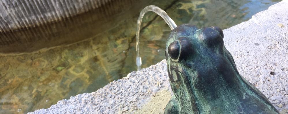 Una delle nuove rane della fontana di Monza