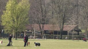 MONZA cani al parco