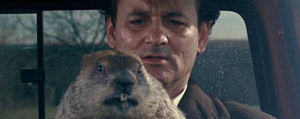 Bill Murray e Phil nel Giorno della marmotta