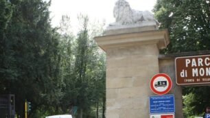 Parco di Monza