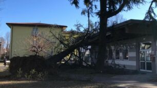 L'albero caduto sul tetto della biblioteca di Carnate
