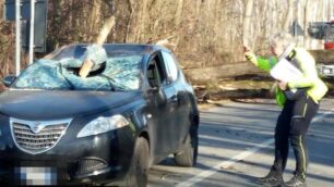 Lazzate confine Lentate sul Seveso incidente: ramo caduto su parabrezza auto - FOTO MARZORATI