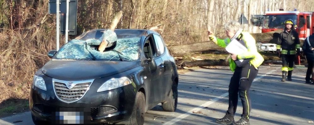 Lazzate confine Lentate sul Seveso incidente: ramo caduto su parabrezza auto - FOTO MARZORATI