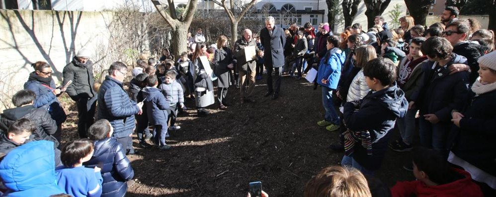 La piantumazione del melograno alla scuola Volta