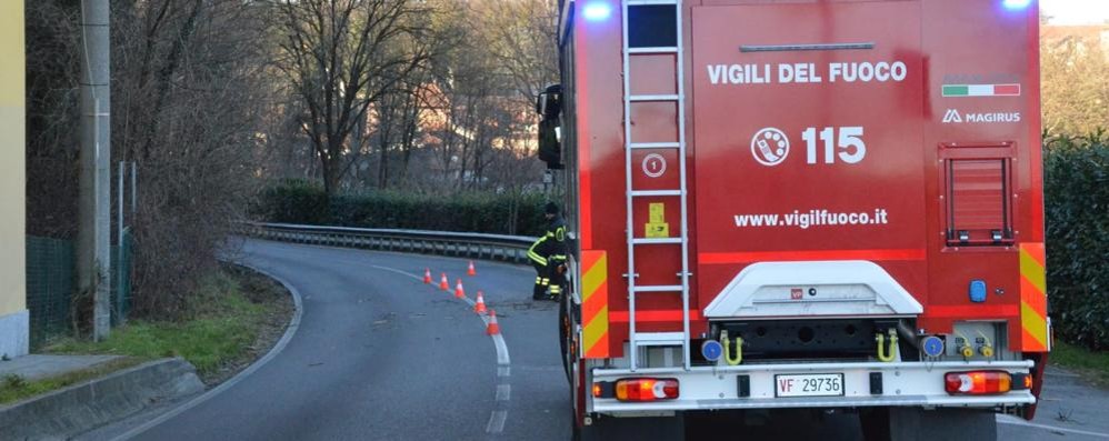 Vento forte Carate Brianza via Milite Ignoto chiusa per caduta piante