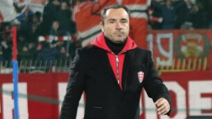 monza brocchi