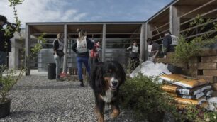 Il canile dell’Enpa di Monza, a San Damiano