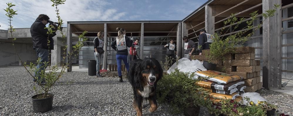 Il canile dell’Enpa di Monza, a San Damiano