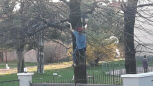 ragazzi nel parco