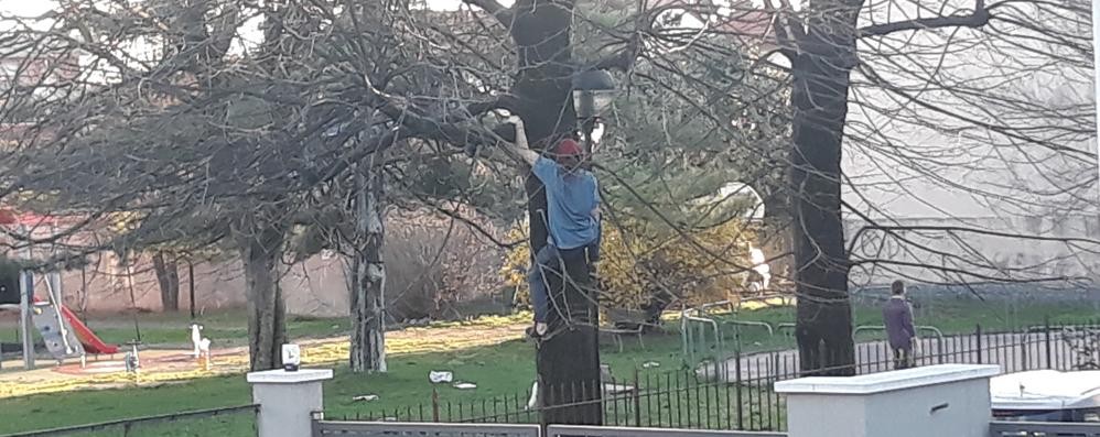 ragazzi nel parco